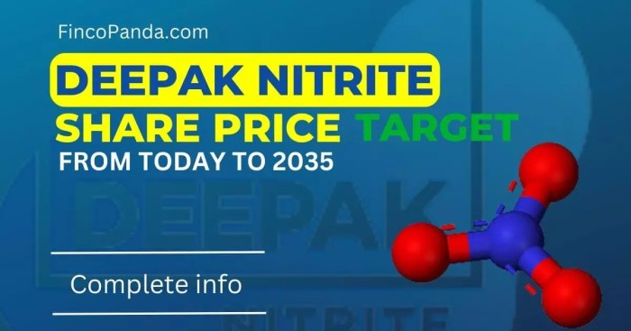 Deepak Nitrite Share Price Target 2024, 2025, 2027, 2030, 2035 (Long ...