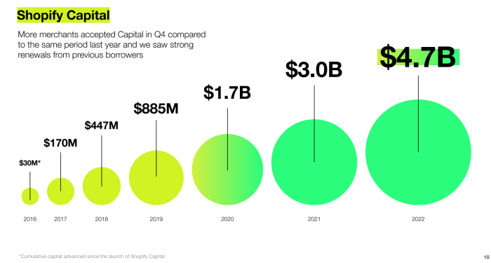 Shopify Capital: Everything You Need to Know (2024)